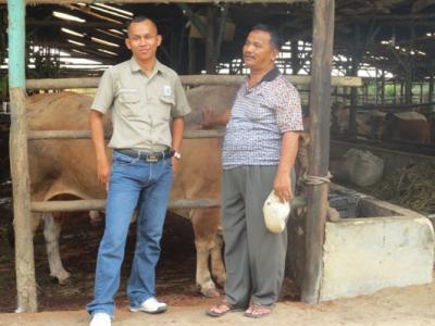 (Kanan) H. Misnatun dengan petugas pembimbing peternakan sapi dari Asian Agri