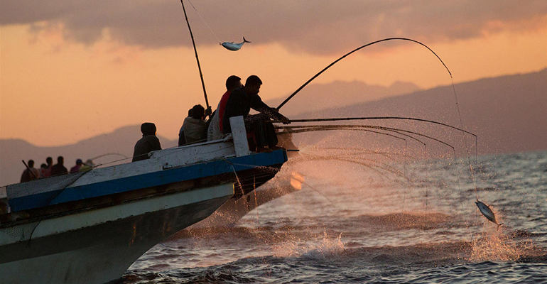 Nelayan di Flores menangkap ikan tuna menggunakan metode pool and line. (Foto: IST)