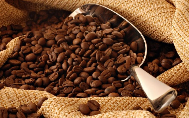 BRI Dukung Industri Kopi Lewat Jakarta Coffee Experience