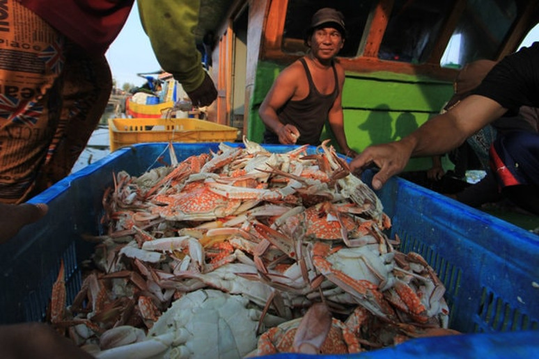 Nelayan membongkar hasil tangkapan rajungan (Foto: Antara/Dedhez Anggara)