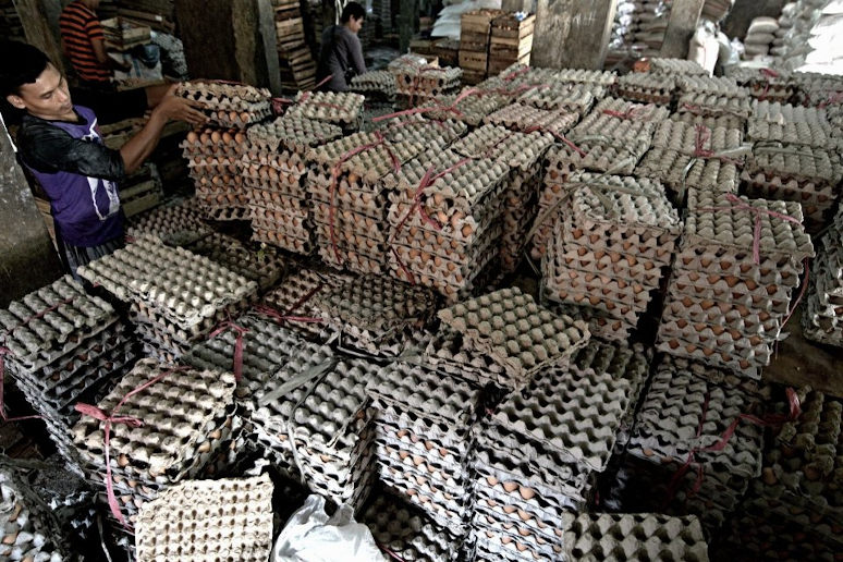 Imbas Karantina Wilayah, 6.000 Ton Telur Tertahan Masuk DKI & Jawa Barat
