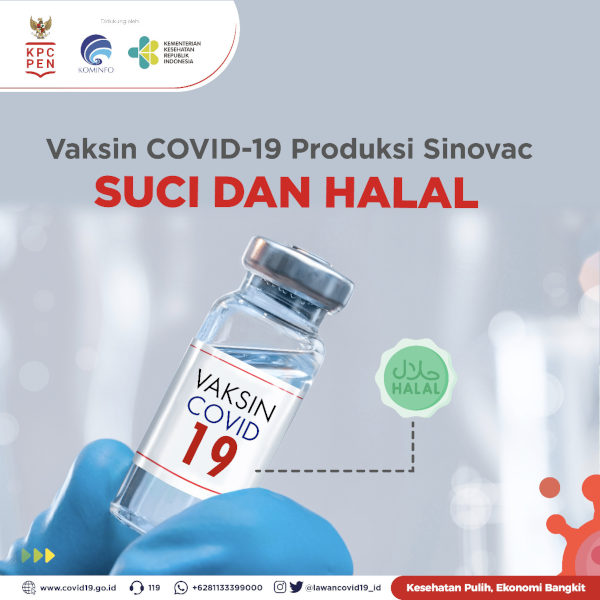 Fatwa MUI: Vaksin Covid-19 Sinovac Suci dan Halal