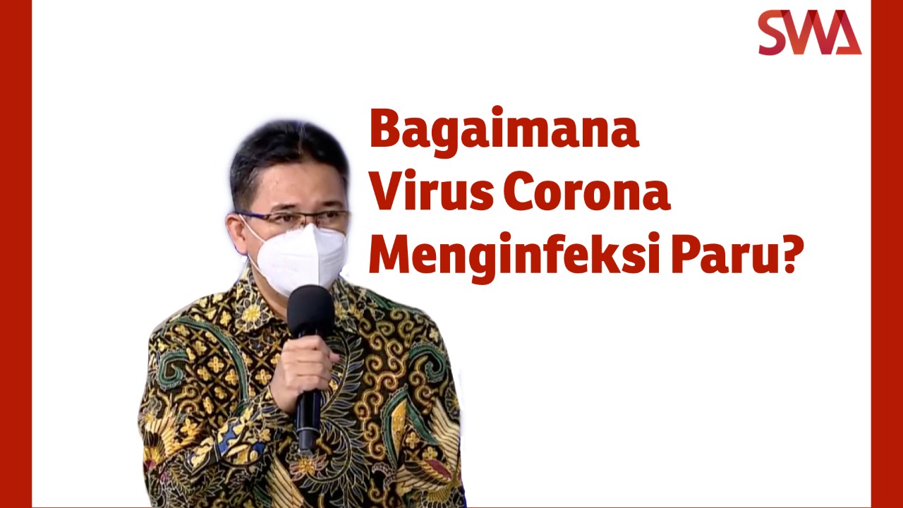 Bagaimana Virus Corona Menginfeksi Paru?