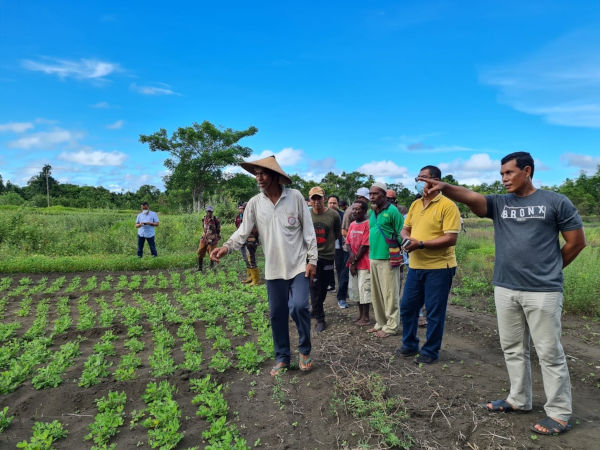 Pupuk Kaltim Lakukan Pemberdayaan Petani Lokal di Papua