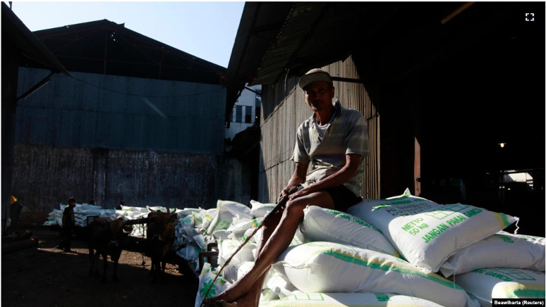 Industri Gula Indonesia Tak Semanis di Era Kolonial Belanda