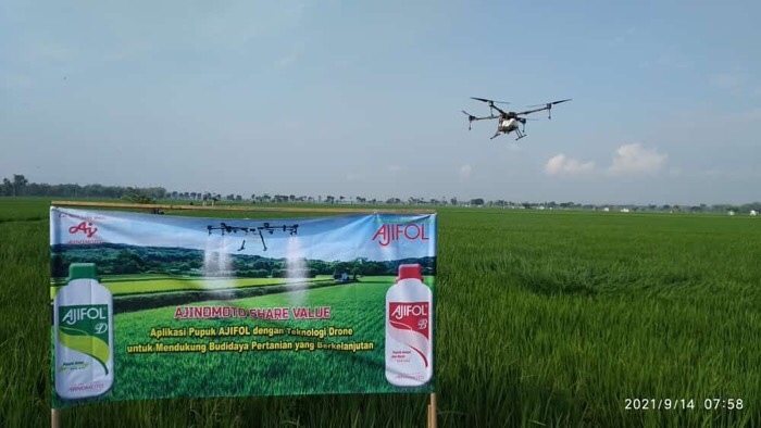 Ajinomoto Dukung Petani Indonesia Terapkan Budidaya Pertanian Berkelanjutan