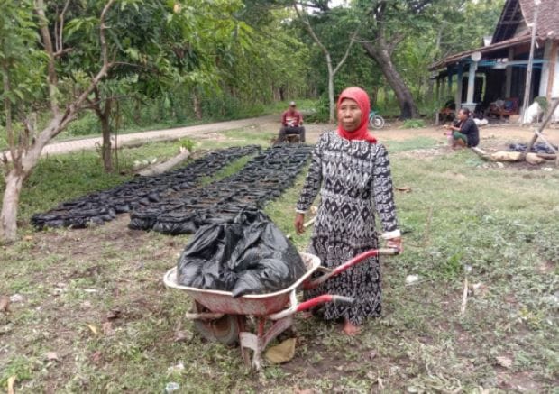 Dari NFT untuk Petani Perempuan Indonesia