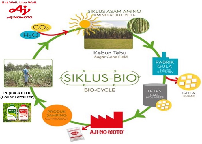 Komitmen Ajinomoto Terapkan Proses Produksi yang Ramah Lingkungan