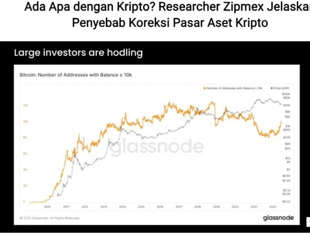 Researcher Zipmex Jelaskan Penyebab Koreksi Pasar Aset Kripto