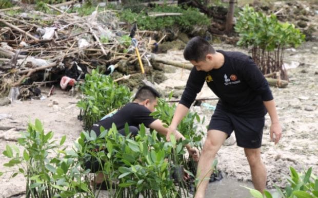Aksi Tanam 5.000 Mangrove di Pulau Tidung Besar