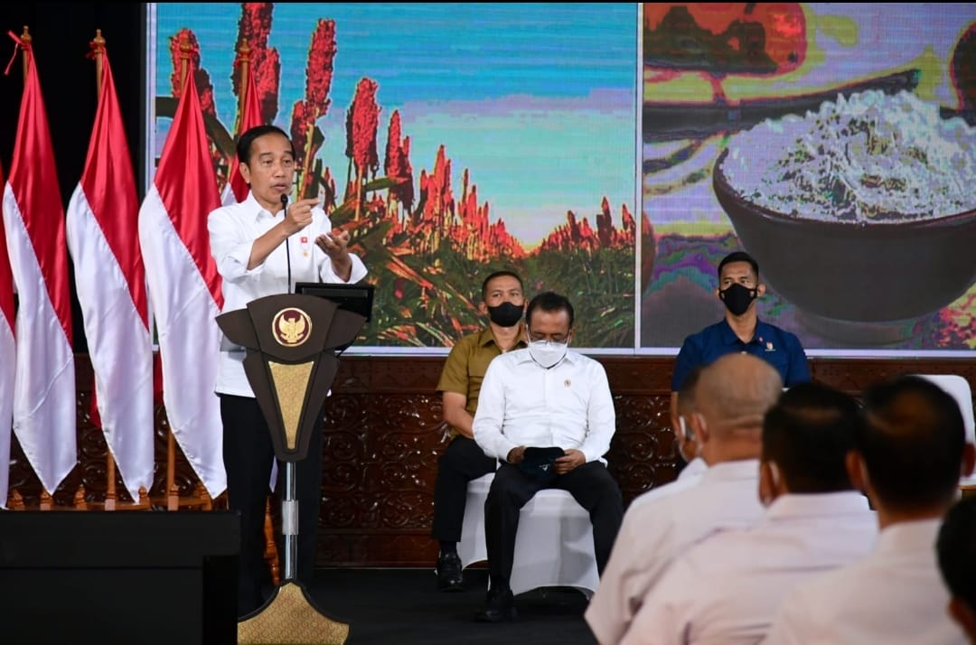 Presiden Sebut KADIN Indonesia Berperan Besar dalam Mengeksplorasi Potensi Dunia Usaha