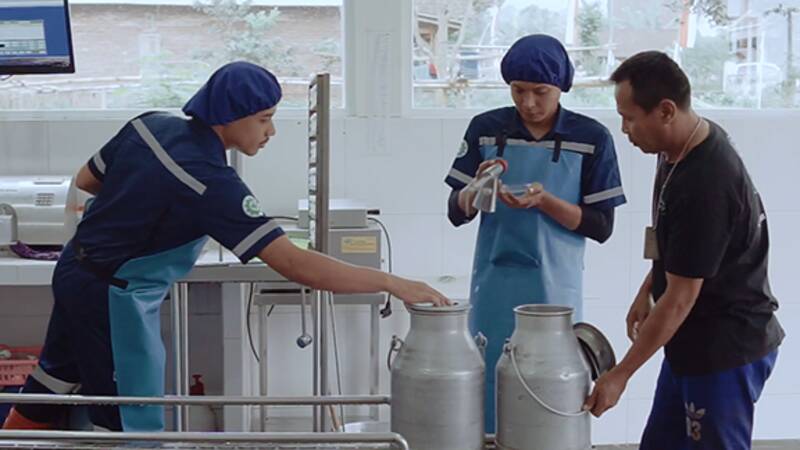 Kolaborasi Indonesia-Belanda Pacu Produksi Industri Olahan Susu