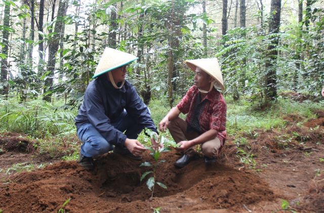 Kampung Suntenjaya Terapkan Pertanian Ramah Lingkungan