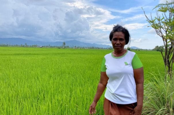 Pandawa Agri Indonesia Berhasil Dampingi Petani Perempuan Raih Panen Gemilang