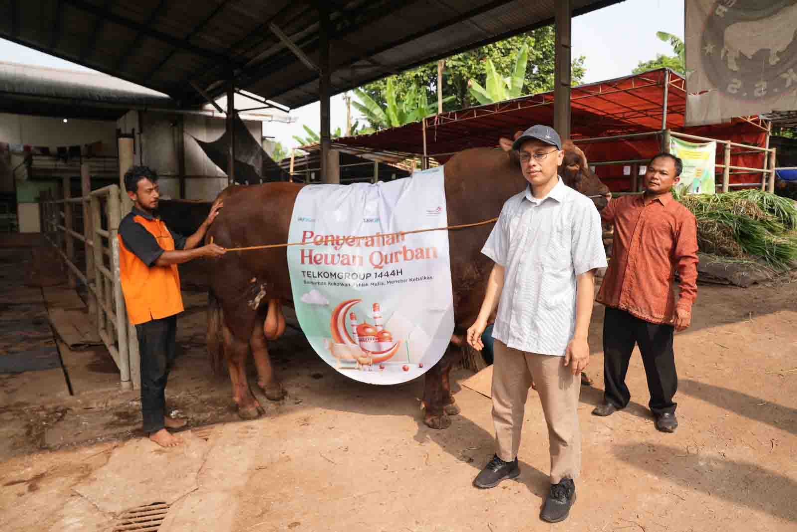 Idul adha 1444H, TelkomGroup Distribusikan Hewan Kurban ke Seluruh Indonesia