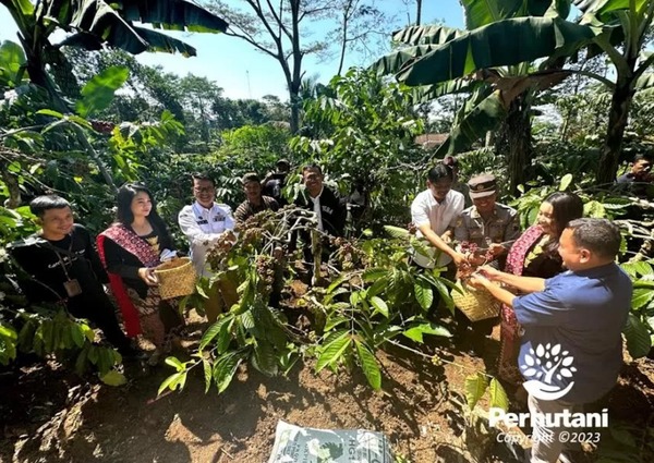 Sinergi BUMN Bantu Tingkatkan Produksi Kopi Lokal Jawa Tengah