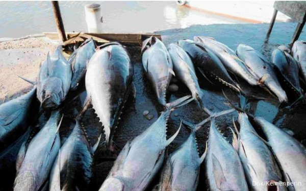 Pemerintah Bangun Sentra IKM Olahan Ikan