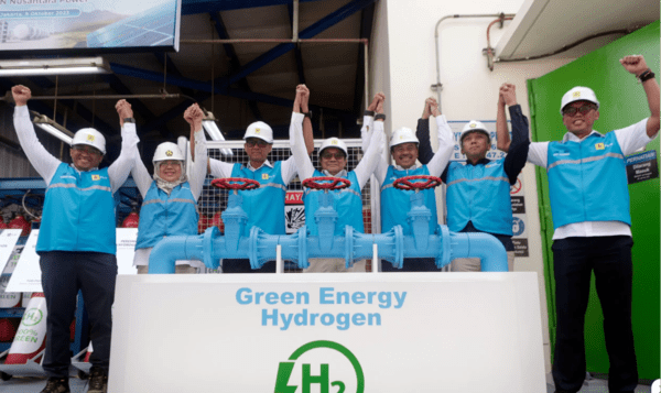 Kementerian ESDM dan PLN Miliki Cara Paling Cepat Hasilkan Green Hydrogen