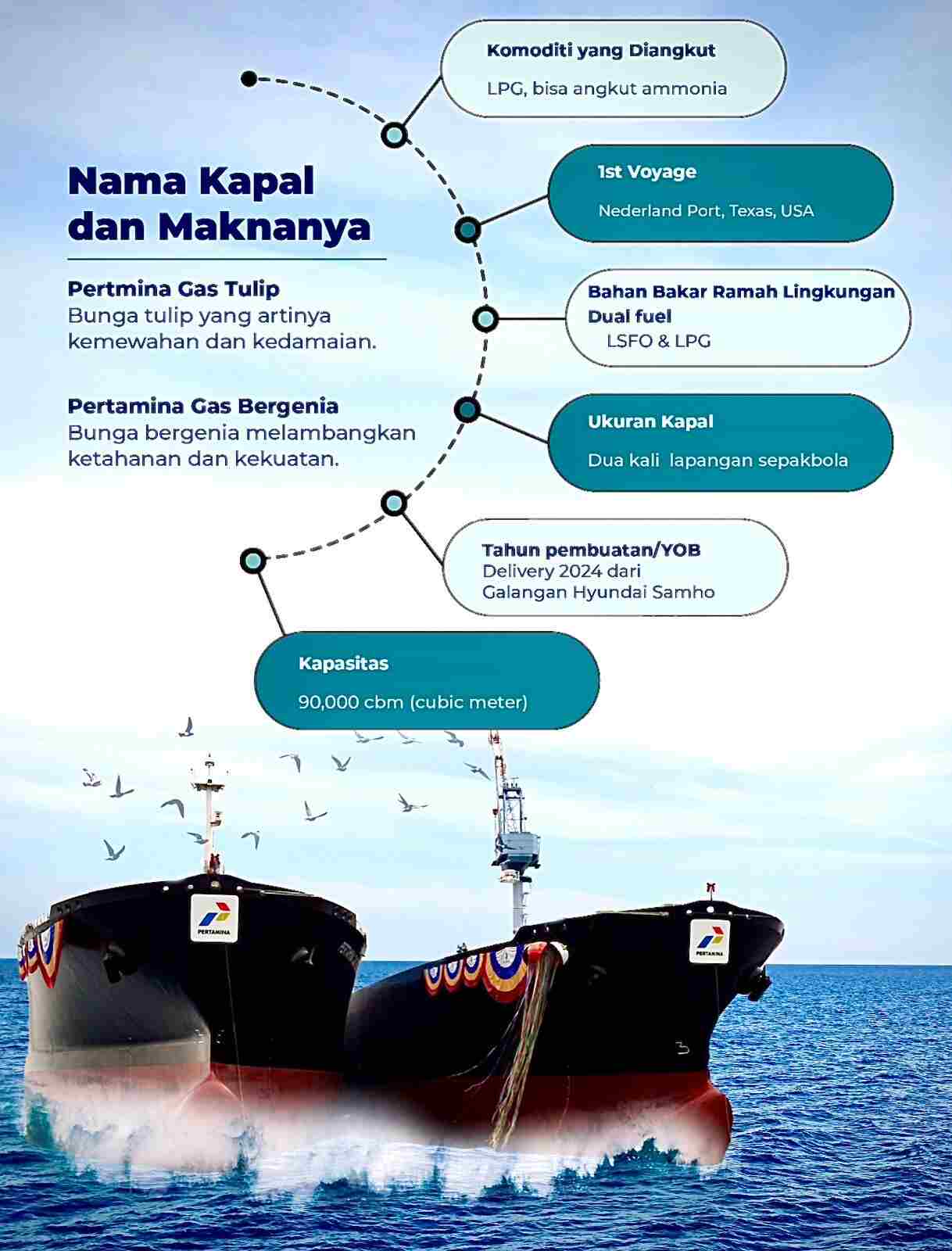 Dua Kapal Tanker Gas Raksasa Terbesar Di Dunia Milik Pertamina Siap ...